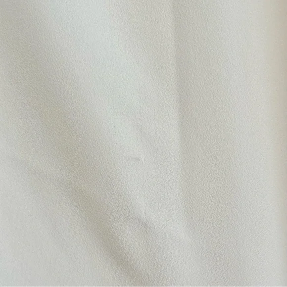 ARITZIA | Babaton Cami - Picture 6 of 8